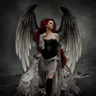 ZEN557537517540's profile picture. Seattle girl through and through, with a love for Pittsburgh. I have a love for #87. 1/2 Turbo Buddies #SeaUsRise #SEAKraken #LetsGoPens #LetsGoBucs. #19Forever