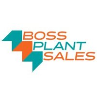 Boss Plant Sales Limited(@BPS_Limited) 's Twitter Profile Photo