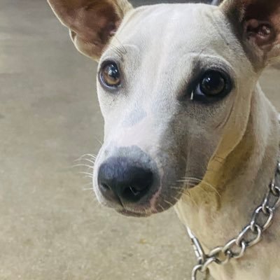 dlee200919's profile picture. 