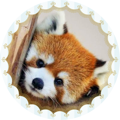 お い も 🫧 ꒰ B M S G ꒱