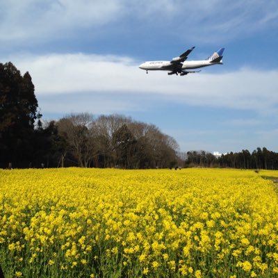 2021_falcon's profile picture. サッカーはじめ海外で活躍するスポーツ選手を応援／株などのファンダメンタルに影響する事柄／政治の裏側／世界情勢／など気になることを呟きます。基本調査能力がないので新聞やネットが情報源です。気に入った記事を見つけると無言フォローします。勧誘などはフォローバックしません。ＤＭは来ても削除してます。