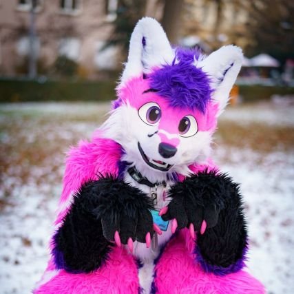 I'm a CCPF - Cuddleslut / Coffeefox / Pawlover / Fursuiting Addict~  

 Fursuit by @WhiteWingSuits