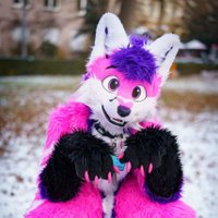 Kyra KuschelFuchs 🦊 (@kyraanim) 's Twitter Profile