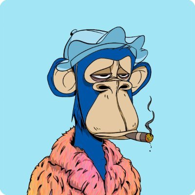 frankbbbek's profile picture. 