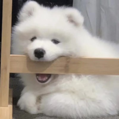 h9GzNjBS9J24133's profile picture. 什么也没有