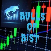 Bulls of bist(@bullsofbist) 's Twitter Profile Photo
