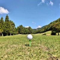 ちからこぶ (@e6tqhj2yejhxmsu) 's Twitter Profile
