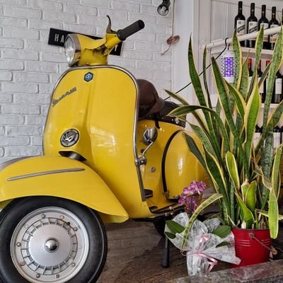 tonylobo35's profile picture. Viva el vino