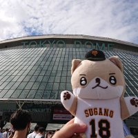 tomo (@tomo26538888960) 's Twitter Profile
