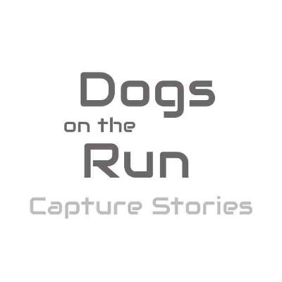 Dogs on the Run