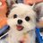 mogugu_tv's profile image