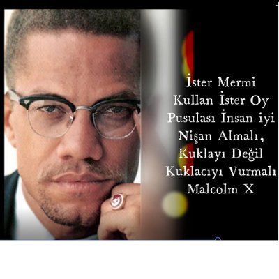 Sarıalioğlu Profile