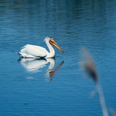 Lightedition427's profile picture. 