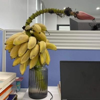 ian_son13's profile picture. Why are we like this