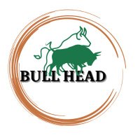 Bull head(@Bull_headpvt) 's Twitter Profile Photo