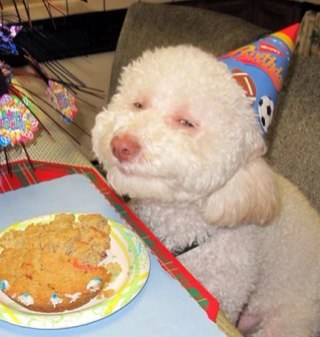 dbarroso81's profile picture. 