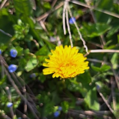 JdvHQjl5i8NwGKZ's profile picture. 