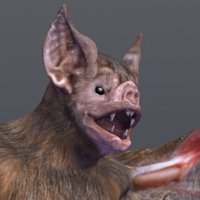 demonflyingfox (@demonflyingfox) 's Twitter Profile Photo demonflyingfox (@demonflyingfox) 's Twitter Profile Photo