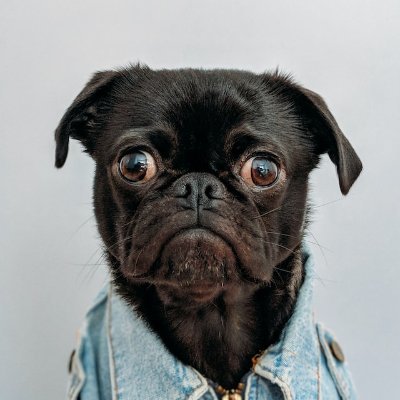 de_dotep's profile picture. Намагаюся писати жарти, тож обережно може бути крінж