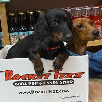 Small business owner. Three (soon to be four) Rocket Fizz locations. Uncle Buddy’s Toy Stash. “A salary is the drug they give you to forget your dreams.”