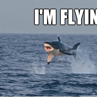 chenfour2023's profile picture. 工作，生活，撸毛！互关，必回