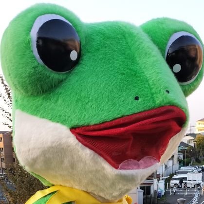 埼玉県狭山市で活動中
気候危機🏜️ジェンダー平等🌈反戦🙅
から生活の事など、もっと政治の事を語りたい😁😎
たまに狭山に現れる
【政治を変える(カエル🐸)】も活動中🤣
jcpSAYAMAまんなか世代からアカウント名変更しました!