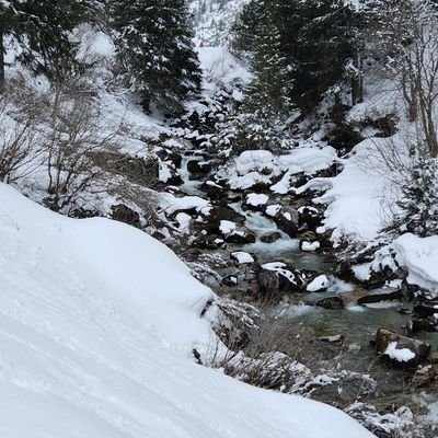 regisfrachette's profile picture. 