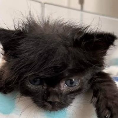 dhidis82hs's profile picture. ahae