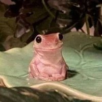 LordOfTheFrogs (@freakyfrogfan) 's Twitter Profile