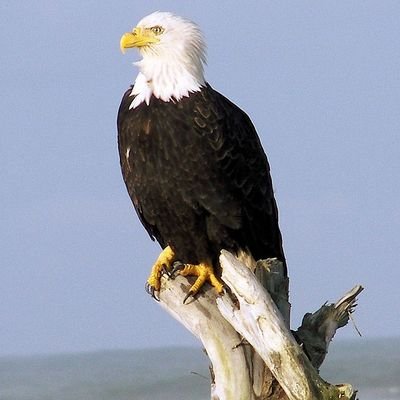 GilWil82's profile picture. Don't Give Up