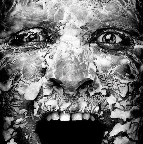 rndObject's profile picture. 