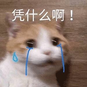 ScAatrox's profile picture. 直男 /涩起来不当人/ 黑丝脚永远让我上头 /喜欢骚骚的味道 /长期男菩萨&树洞 /⚠ 不是gay！