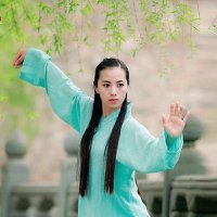 Kung Fu World(@KungFuWorld78) 's Twitter Profile Photo