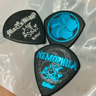 NEMOPHILAとギターヒロインちゃっきーを愛する為のアカウント🎤🎸🥁