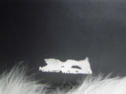 AleBaray's profile picture. 