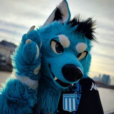 StarflyTheWolf Profile Picture