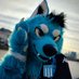 Starfly🐾Soccer Wolf ⭐⭐⭐ (@StarflyTheWolf) Twitter profile photo