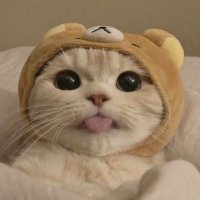 . (@minisorrel) 's Twitter Profile