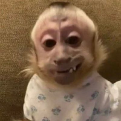 Joeyunderscore_'s profile picture. 