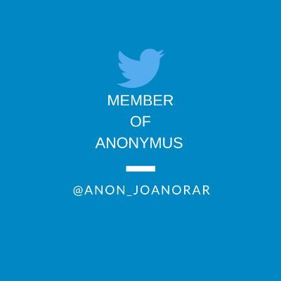 Anon_joanorar's profile picture. Member of Anonymus. 
We are going to put the government on the ropes, and whatever comes our way, without harming anyone. Only with computing and programming.