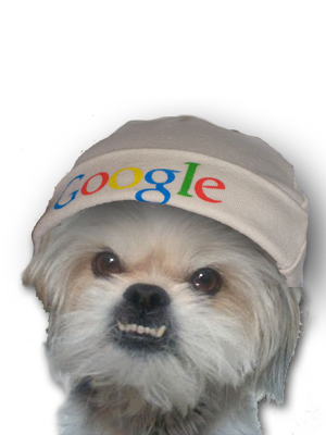 CritterSharpe's profile picture. ★World's First Google Certified Dog!★ Official Mascot of GTAWA '11. Obsessed with Technology, Animal Rescue, Spinning in Circles and The Daring Librarian.