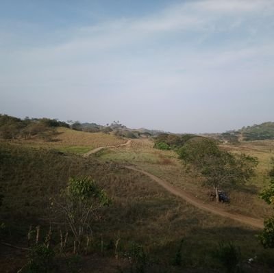 Con el corazón a la izquierda, ecuatoriano, escritor, la verdad sobre todas las cosas.🇪🇨