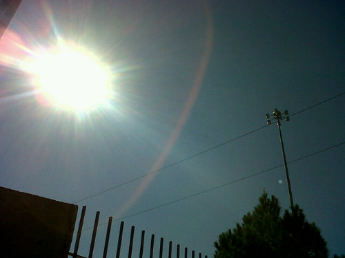 Zaimer's profile picture. 