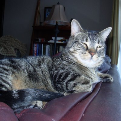 T_Jsudbury's profile picture. Curmudgeon, ludite, retired prospector