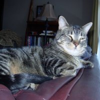 TJsudbury (@t_jsudbury) 's Twitter Profile