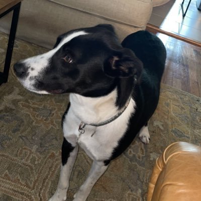 Jerryho55560959's profile picture. Giving my honest opinion