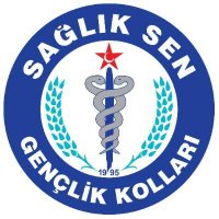 Sağlık Sen Muş Gençlik Kolları Başkanlığı(@ss_genclik49) 's Twitter Profile Photo