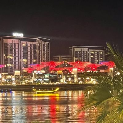 Primitivemanman's profile picture. student of history