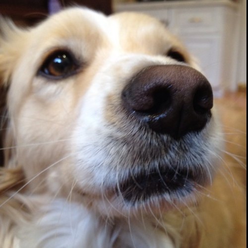 Heggy_Bear's profile picture. I lay it out for y'all to play it out.