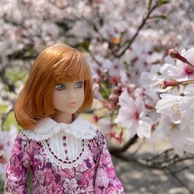 ことりうららさんのプロフィール画像
